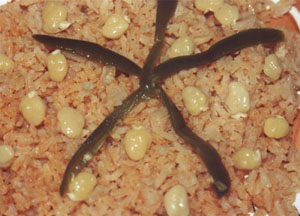 Arroz Rojo