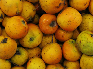 Mermelada de Tejocotes