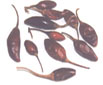 Variedades de Chiles