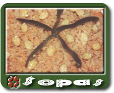 lasrecetasdelaabuelacom