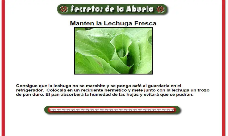 Lechuga siempre fresca